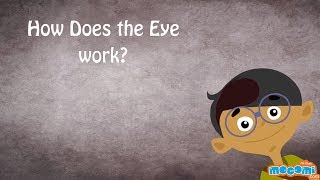 Human Eye Structure and Function  Human Body Parts Science for Kids  Educational Videos by Mocomi [upl. by Ricoriki]