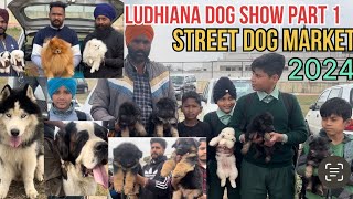 Pakhowal Ludhiana dog show part 1 street Dog markets [upl. by Ultann]