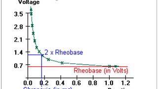 nerve excitability part II [upl. by Berg]