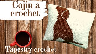 COJIN A CROCHET PASO A PASO Tapestry crochet [upl. by Jaella628]