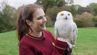 Meeting Feeding amp Flying Owls  Care of Magical Creatures [upl. by Eseneg]