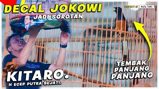 JOKOWI  KITARO MURAI BERSANGKAR MOTIF JOKOWI MILIK H ECEP PODIUM DI BLA CUP VIII [upl. by Soiritos]