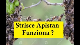 Apicoltura  Trattamenti nuclei con strisce di Apistan [upl. by Towrey132]