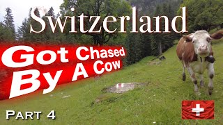 Switzerland part 4  wild camping and hiking in the Swiss Alps  Got chased by a cow [upl. by Maccarone]