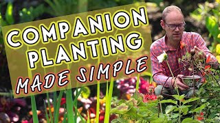 Why Vegetables Need Friends Companion Planting Made Simple 🌺 [upl. by Lohner]