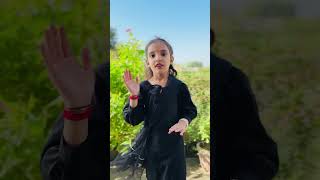 Softly🩷 Chunni Meri Rang De Lallariya shorts viralvideo dance punjabi sejalyadavvlogs [upl. by Levitan]