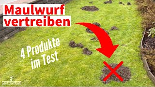 Maulwürfe vertreiben  4 Produkte im Test Karbid Maulwurfschreck Lebendfalle [upl. by Rosalee]