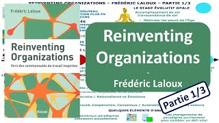 Reinventing Organizations – Frédéric Laloux  Partie 13  Résumé Projet P04 [upl. by Eduino905]