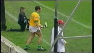 Clare v Offaly 1995 All Ireland SHC Final Extended Highlights [upl. by Ginzburg]