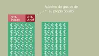 HMO and PPO  Spanish version [upl. by Linn]