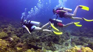 Scuba Diving in Mantanani by Borneo Dream amp Camp Borneo 2013 [upl. by Rockefeller686]