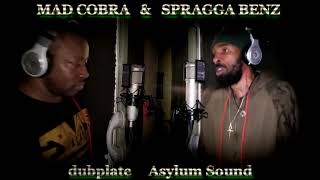 SPRAGGA BENZ AND MAD COBRA  STUDIO SESSION FREESTYLE DUBPLATE [upl. by Enrobso]