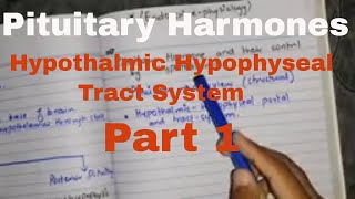 Pituitary hormone and their control by hypothalamus part 1 hypothalmic hypophyseal tract system [upl. by Neitsabes]