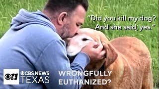 Denton Family heartbroken after missing dog euthanized at North Texas shelter [upl. by Strohben]