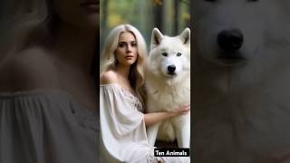 Woman Hugs Majestic White Wolf  Unbreakable Friendship [upl. by Ahsena553]