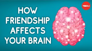 How friendship affects your brain  Shannon Odell [upl. by Anoyek]