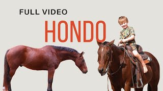 Hondo  FULL VIDEO  Quarter Horse  Gelding [upl. by Philips145]