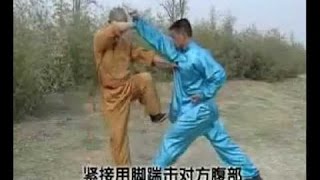 Shaolin 5 combinations kung fu wu he quan combat methods [upl. by Esdnil]