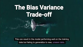 The Bias Variance Tradeoff [upl. by Anett238]