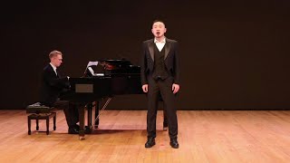 ZHUANG ZHENG  Franz Schubert  Der Lindenbaum [upl. by Dorraj]