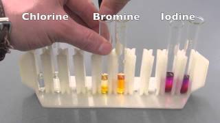 Halogen reactivity [upl. by Kcirredal781]