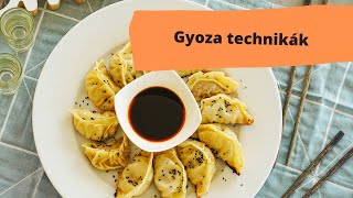 Gyoza Mengyi módokra [upl. by Fricke725]