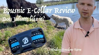 We got an ECollar Bousnic ECollar Review [upl. by Lamar]