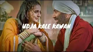 Udja Kale Kawan  slowedreverb  Gadar 2  sunny deol  lofi [upl. by Aicats]