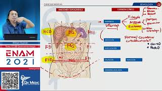 Examen físico del abdomen Semiología en gastroenterología [upl. by Moll535]