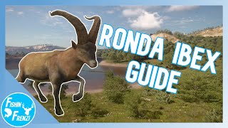 Ronda Ibex Guide  theHunter  Call of the WIld [upl. by Minsat]