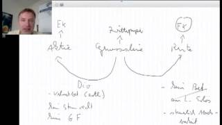 Genussscheine  Definition [upl. by Aicekal]