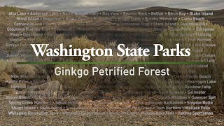 Ginkgo Petrified Forest State Park [upl. by Devinna]