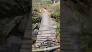 I like this trail Do you know why nzmtbguy mountainbike bike mtb downhillbike shorts [upl. by Bridges36]