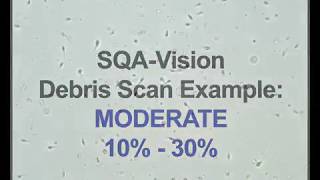 SQA VISION DEBRIS SCANNING EXAMPLES [upl. by Monie]