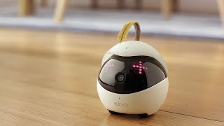 Ebo – The Smartest Robot Companion for Your Cat [upl. by Nitsreik]