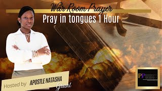 PRAY IN TONGUES 1 HOUR  WELCOMING FIRE  INTERCESSION WARFARE  KYLELOVETT  APOSTLE NATASHA [upl. by Liva]