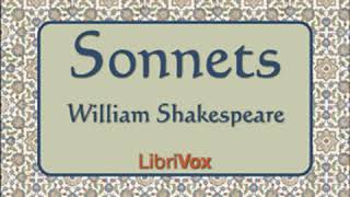 Shakespeares Sonnets version 3 by William SHAKESPEARE read by Sam Stinson  Full Audio Book [upl. by Adniral]