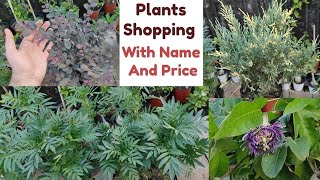 New Plants For My Winter Terrace Garden With Name And Price  Winter Flower Plants Shopping [upl. by Benco]