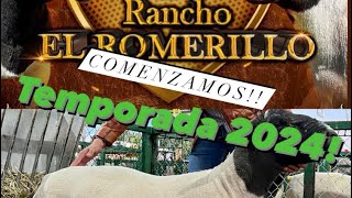 TEMPORADA 2024 quotRANCHO EL ROMERILLOquot Borregos Dorper Y el nuevo MEZCAL [upl. by Oludoet]