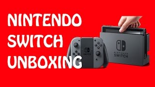 DIJ  Nintendo Switch Unboxing [upl. by Hawkie]