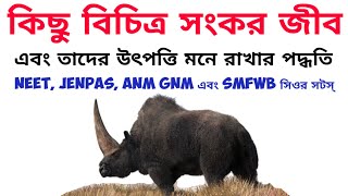 Mnemonics to Remember Origin of Hybrid Animals সংকর জীব ও তাদের উৎপত্তি কৌশল মনে রাখার পদ্ধতি। [upl. by Kirred501]