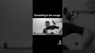 Zach Bryan something in the orange acoustic cover [upl. by Eiramlatsyrk370]