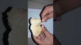 Temporal bone Part1Bangla tutorial [upl. by Fifi]