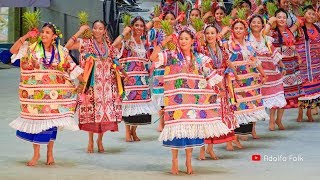 Espectacular Baile FLOR DE PIÑA  Guelaguetza 2019 [upl. by Evoy]