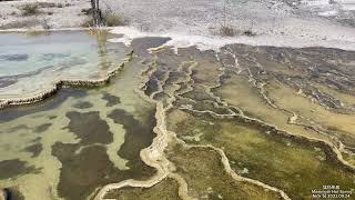 黄石游 29 猛犸热泉 Mammoth Hot Spring Yellowstone Tour [upl. by Tamarah215]