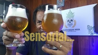 Como desenvolver o paladar cervejeiro sensorial [upl. by Eniotna]