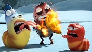 LARVA ISLAND Season 4 Official Trailer  Kids Cartoon [upl. by Adolfo]