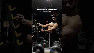 3 exercises for growing your lower chest  Subscribe for more fitness tips and videos [upl. by Ennayoj]