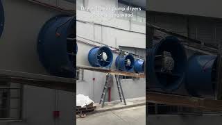 Drytech Heat Pump Dryers exported to Zambia use to drying wood dryingmachine fooddryer wooddryer [upl. by Gustafson]