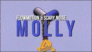 Flowmotion amp Scary Noise  Molly BTH Release [upl. by Enayr]